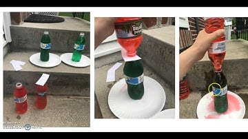 Capstone Project: Module Six