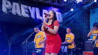 PAELAND MUSIC - PLIS DONG SAYANG - ULFA DAMAYANTI - WEDDING PARTY SIGIT & SRI