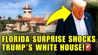 🚨Trump AND CHUCK SCHUMER Just LOST BIG IN FLORIDA!