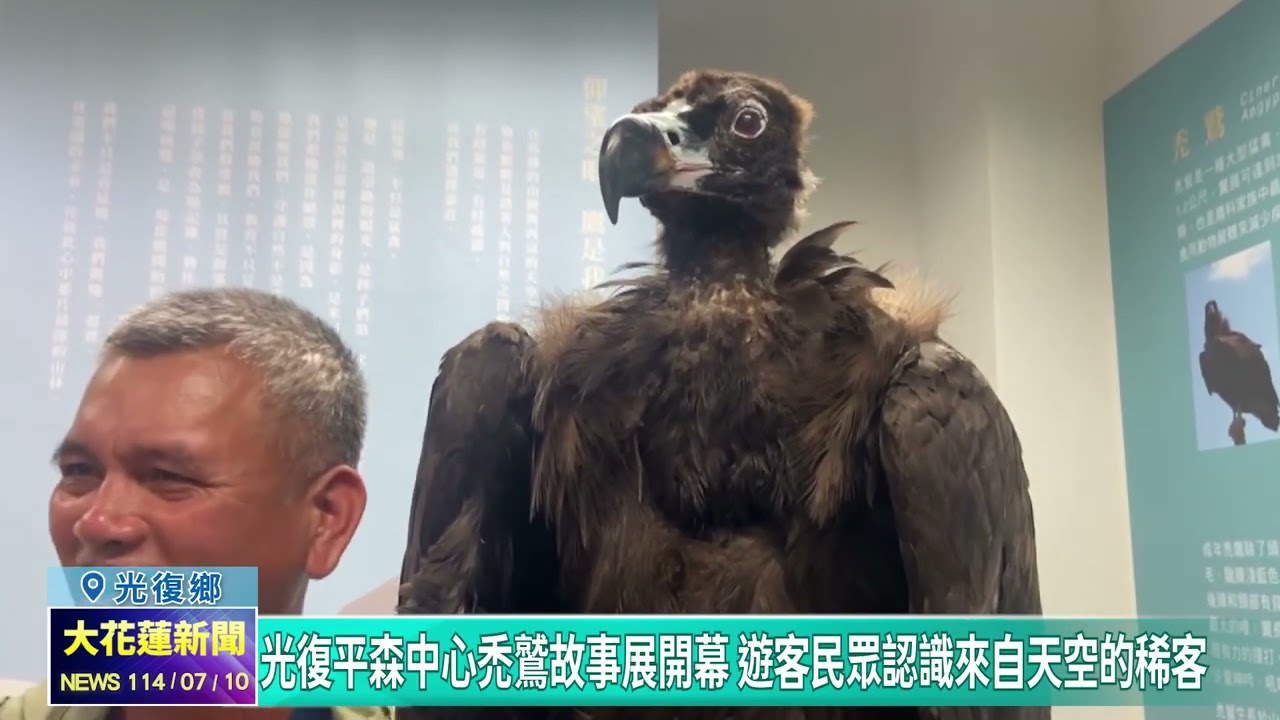20250710 10 光復平森中心禿鷲故事展開幕遊客民眾認識來自天空的稀客