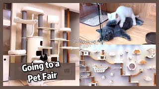 Where I buy my Cat Trees & supplies from … by Fairy Elf Dolls 580 views 1 year ago 19 minutes