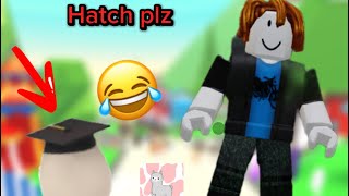 BACON Cant Hatch Egg So He Did This! (Funny) | llamalush screenshot 1