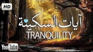 آيات السكينة والطمأنينة  القران الكريم  تلاوة لدفع القلق والهموم