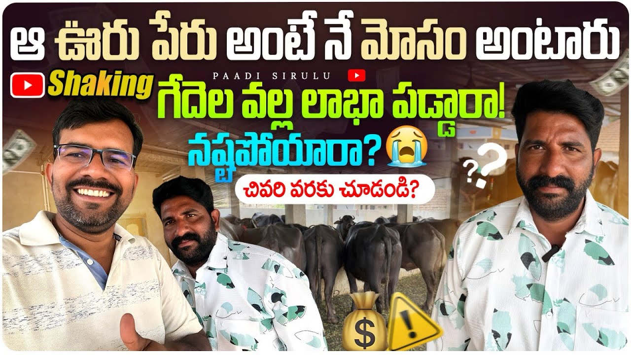 ఇదీ విని కామెంట్ చెయ్యండి?ఇలా మీరు 🫵 ఫేస్ చేశారా 🤯9438123123📲#viral #Rajeshdairy #jaggampeta