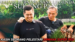 A Day with Suk Eng Pang, Pelestari & Pecinta Arwana Super Red