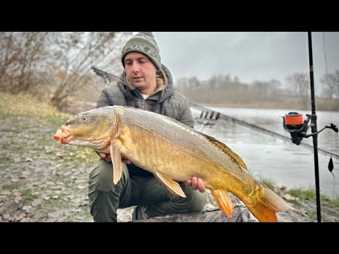Жор коропа в мороз