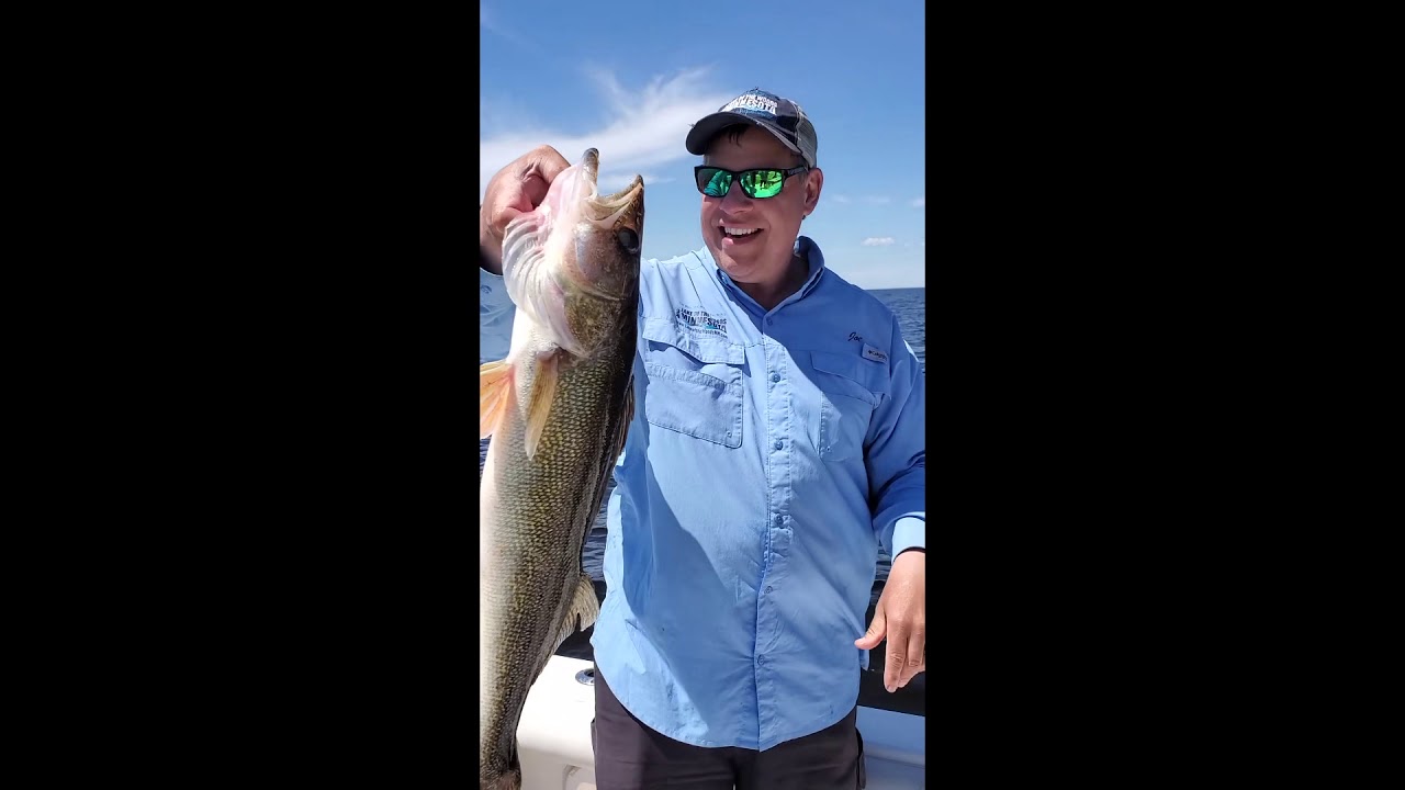 How to Hold and Release a Big Walleye 