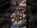Wild Crab Catch Gone Wrong? Watch What Happens Next #fishing #crabcatch #wildmeals