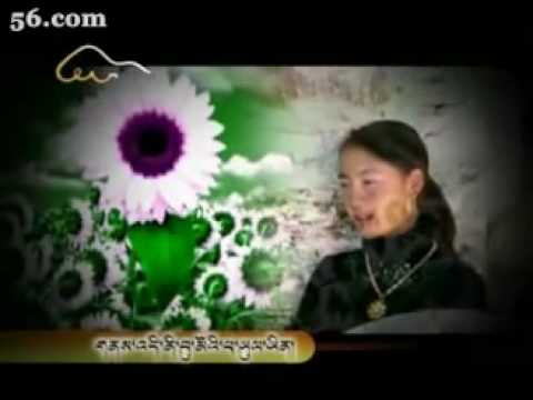 Tibetan Culture flourishing (Choetso Kyid) #479
