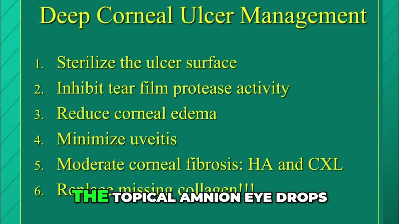 Corneal Fibrosis in Horses: Topical Treatments and Healing Insights