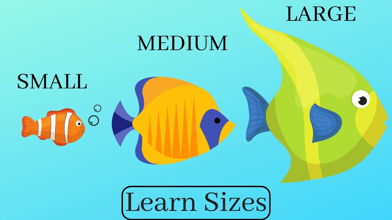 Learning About Sizes: Big & Small Animal Match – SupplyMe