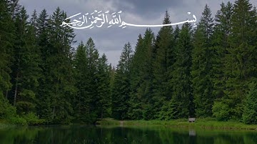 🔉 اختيار المستمعين | آيات من سورة الرعد  بصوت القارئ طارق محمد 🎙️