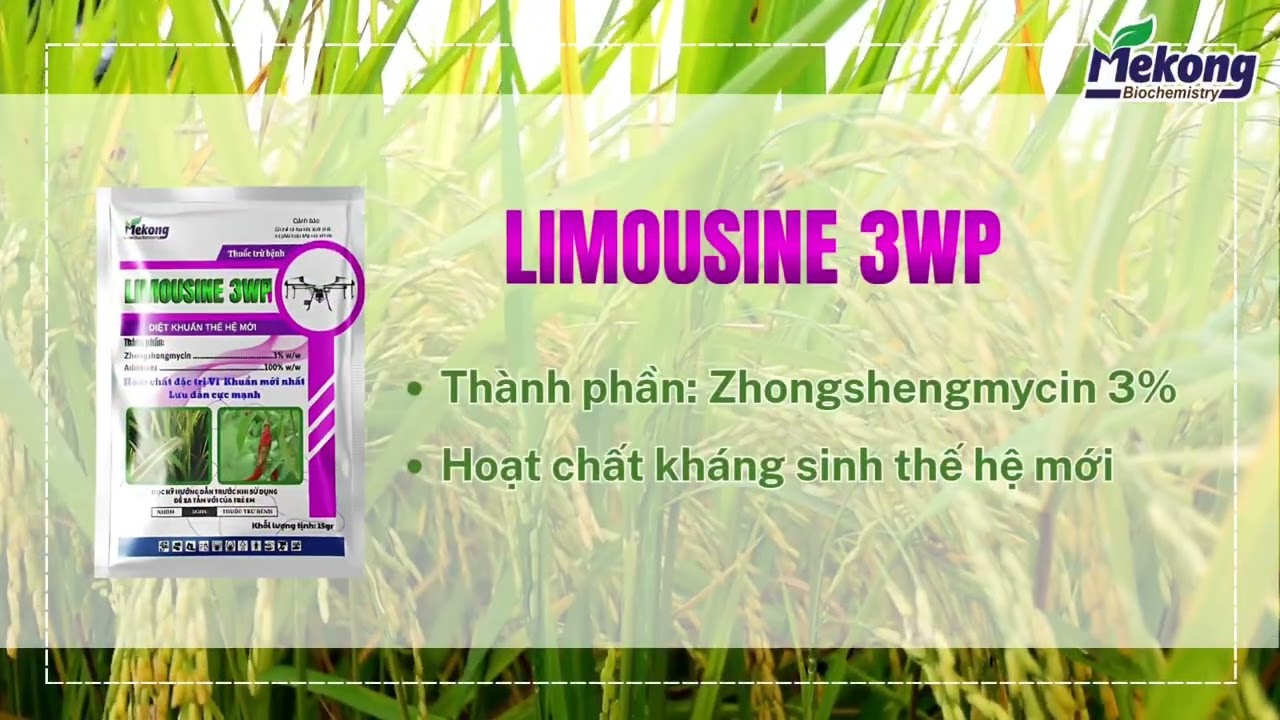 𝐋𝐈𝐌𝐎𝐔𝐒𝐈𝐍𝐄 𝟑𝐖𝐏 - THUỐC ĐẶC TRỊ CHÁY BÌA LÁ LÚA🌾🌾