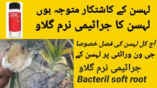 Bacteril soft root /لہسن کا جراثیمی نرم گلاو screenshot 4