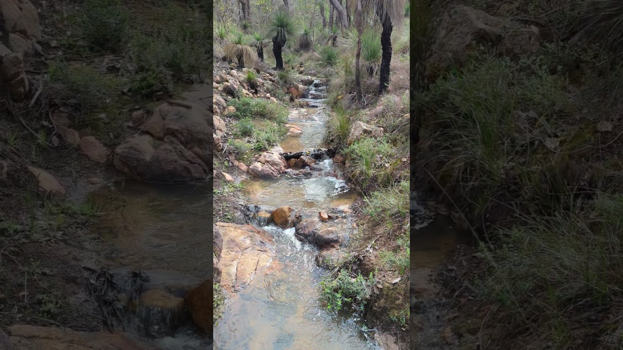 Yungarra Drive Stream Video