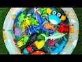 Learn Sea Animals for Kids | Fun Ocean Creatures Learning for Toddlers