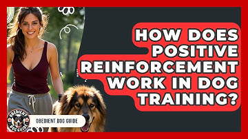 How Does Positive Reinforcement Work in Dog Training? | Obedient Dog Guide