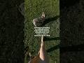 Earthing or grounding by walking barefoot 🤍