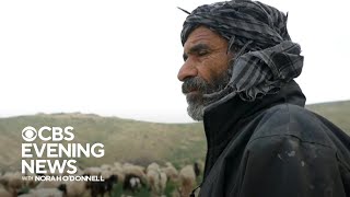 Palestinian shepherds in West Bank under attack by militant Israeli settlers Wealth