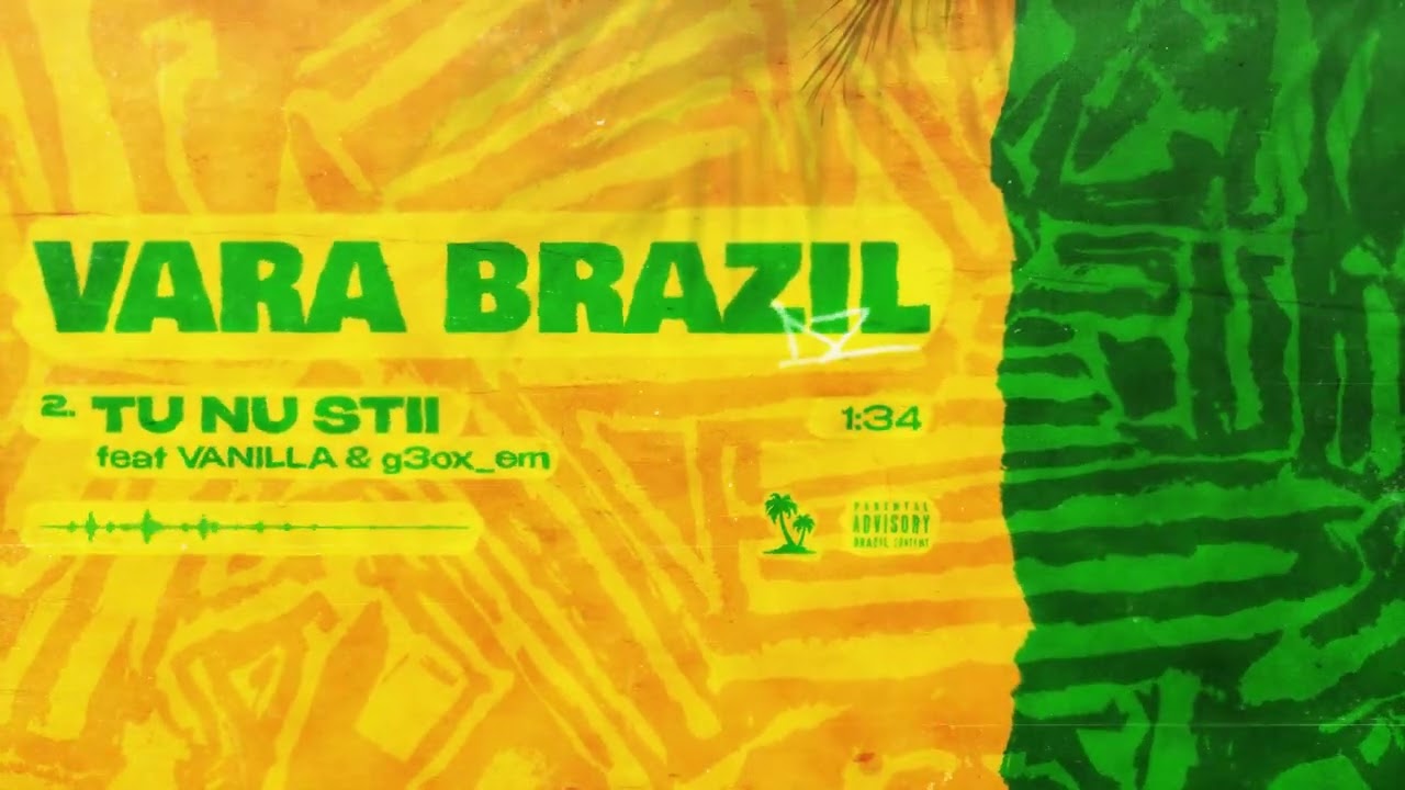 DZWS & VANILLA - TU NU STII (prod. g3ox_em)