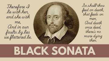 Black Sonata | Solo Board Game Tutorial and Playthrough