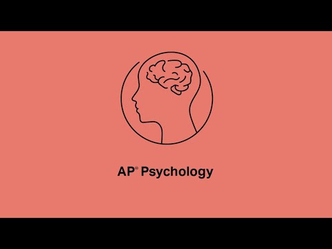 AP Psychology: 2.3-2.4 The Nervous System, Neurons, and Neural Firing [Part 2]
