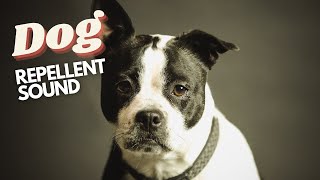 Dog Repellent Sound || Suara pengusir anjing screenshot 5