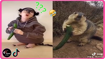 【抖音】TikTok Trung Quốc 😂 Những khoảnh khắc hài hước triệu view😂(Douyin) 2020 #18