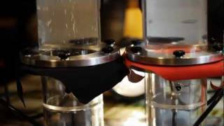 Gore-Tex Bubbler & Breathability Test