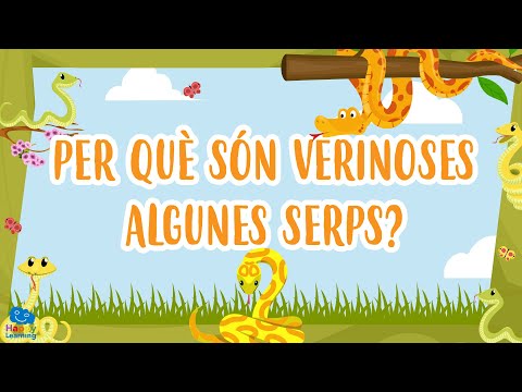 Vídeo: Les serps storeria són verinoses?