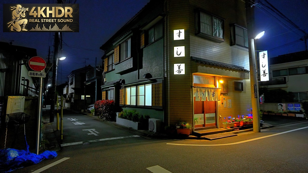 Japan | Dusk | Nattpromenad i Staden 4K