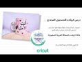 درس كريكت للمبتدئين
