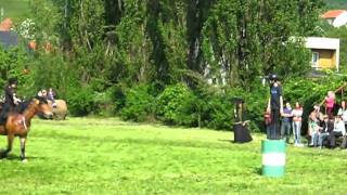 Výstava Koní Aschk - K-Faktor - Saxána