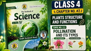Pollination Explained: Nature's Invisible Transfer System