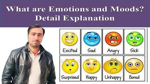 What are Emotions and Moods? Organizational Behavior
