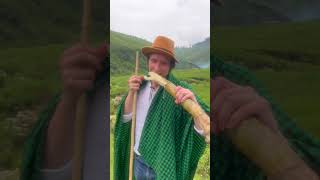 The Best Experience Eating Sugarcane Guess What He Said visitbigogwe farm