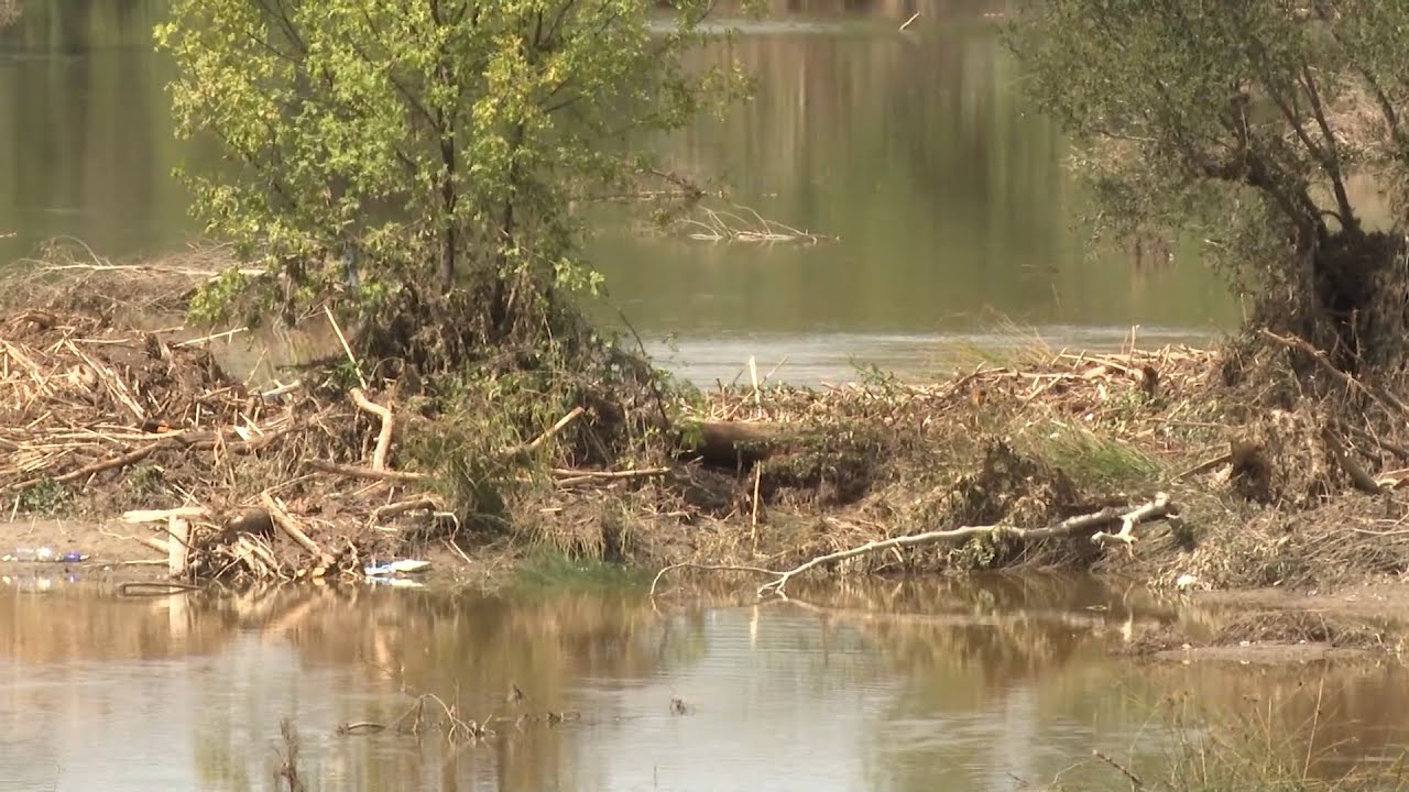 Los cadáveres hallados en Aldea del Fresno (Madrid) son los de los desaparecidos por la DANA