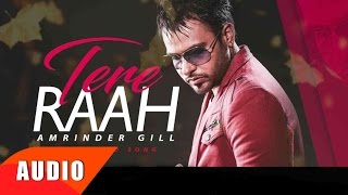 Video thumbnail of "Tere Raah (Full Audio Song) | Amrinder Gill | Punjabi Song Collection | Speed Records"