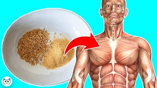 12 Benefits Of Cumin Seeds You Wish You Knew Earlier