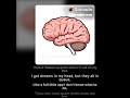 Overload System (Audio only)