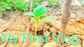 My First Vlog #manojdeyvlogs #souravjoshivlogs #pankajdont4uvlogs