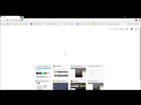 virtualpengu.in: CP private server