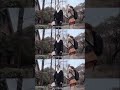 110 蜗牛与黄鹂鸟大结局拯救银河系还是毁灭银河系 梨涡夫妇都会甜到你追剧在抖音 110 蜗牛与黄鹂鸟大结局拯救银河系还是毁灭银河系 梨涡夫妇都会甜到你追剧在抖音
