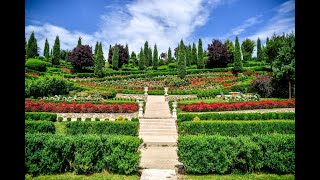 I Giardini di Zoe - Aristocrata