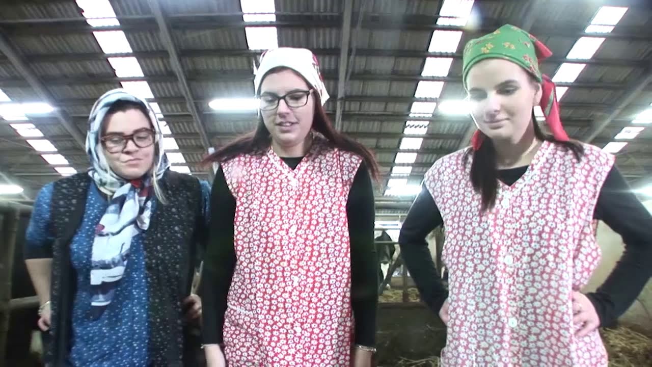 Slunce, seno, maturita - Maturitní video (ZA4; Český Krumlov; 2019/2020)