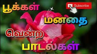 பூக்கள் மனதை வென்ற காதல் பாடல்கள் 💞 | Love Melody Hit Feel  Songs |@Namma_Family_Memories