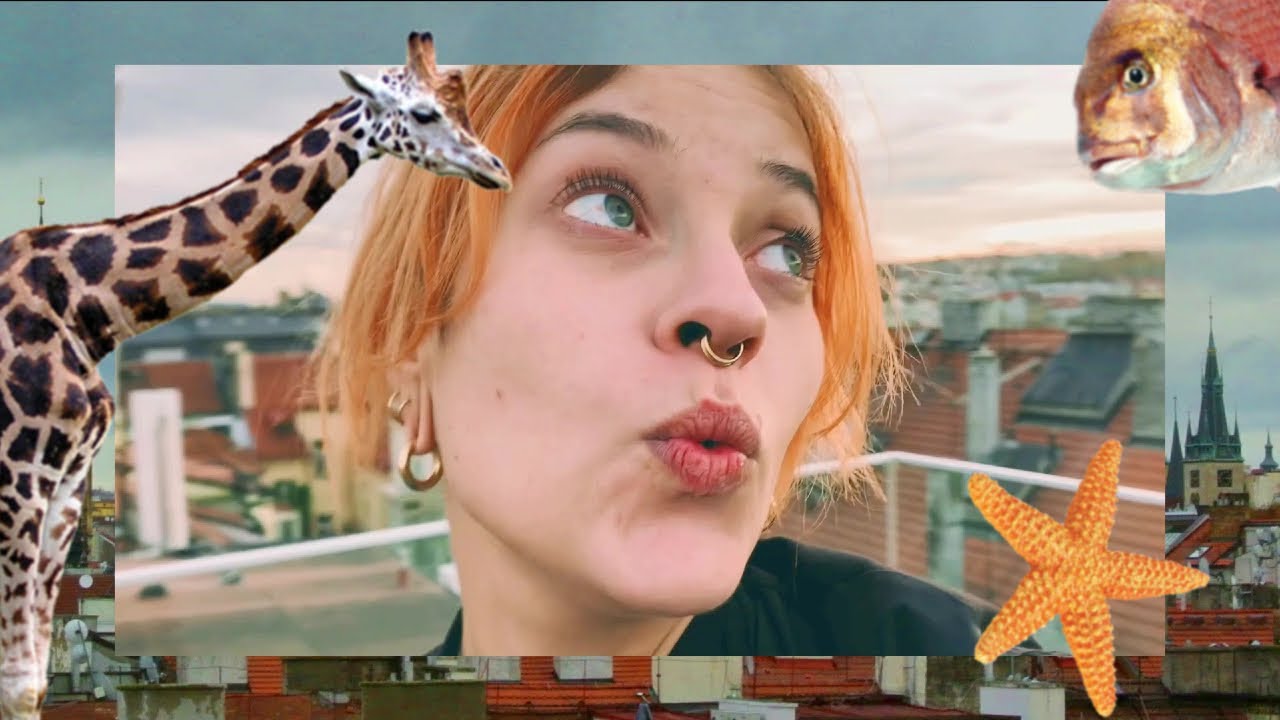 Dualities, strange animals, and Sci-Fi