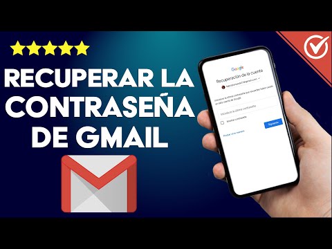 Cómo Cambiar o Recuperar la Contraseña del Gmail - Guía Completa