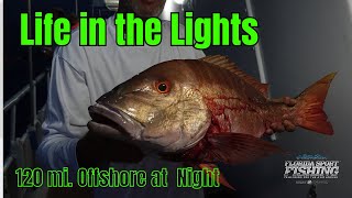 Fishing 120 Miles Offshore At Night | Life in The Lights | Snapper Grouper Tuna | #2024 Tactics