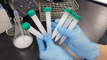 Polymorphs of calcium carbonate